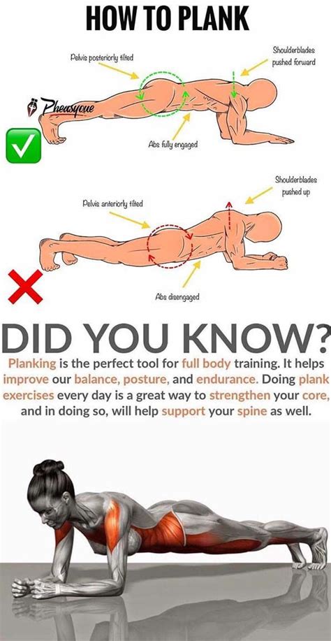 plank workout results|Plank Exercises: What They Do For Your Body .